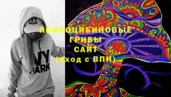 сатива Заволжск